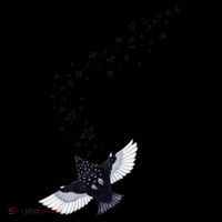 A Murmuration Of Starlings Button