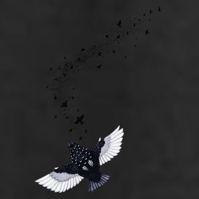 A Murmuration Of Starlings 12oz Stainless Steel Coffee Mug