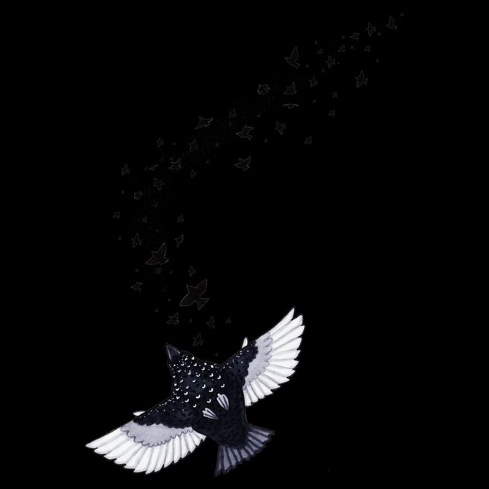 A Murmuration Of Starlings Toddler T-Shirt