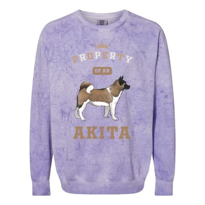 Akita Mom Or Akita Dad For Japanese Akita Or American Akita Meaningful Gift Colorblast Crewneck Sweatshirt