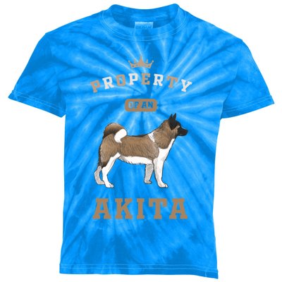 Akita Mom Or Akita Dad For Japanese Akita Or American Akita Meaningful Gift Kids Tie-Dye T-Shirt