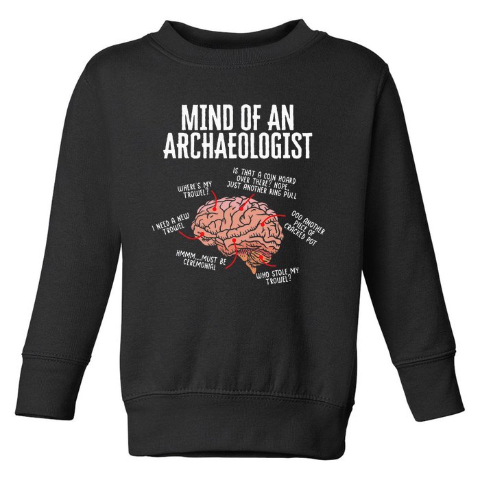 Archaeology Mind Of An Archaeologist Toddler Sweatshirt