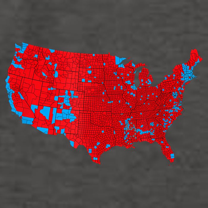 Accurate Map Of 2024 Election Results Vector Backpack