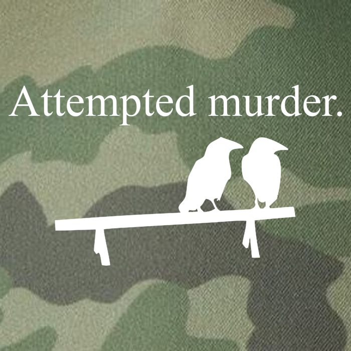 Attempted Murder Of Crows Funny Legacy Tie Dye Trucker Hat