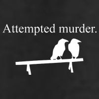 Attempted Murder Of Crows Funny Adult Drive Performance Visor