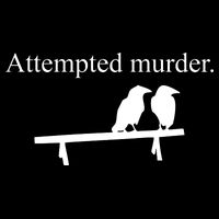 Attempted Murder Of Crows Funny Bucket Hat