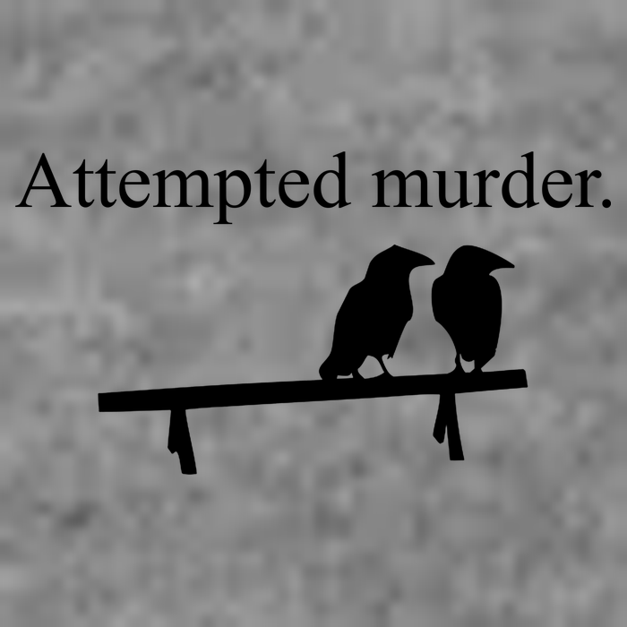Attempted Murder Of Crows Funny Polo