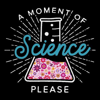 A Moment Of Science Please Scientist Science Teacher Gift T-Shirt