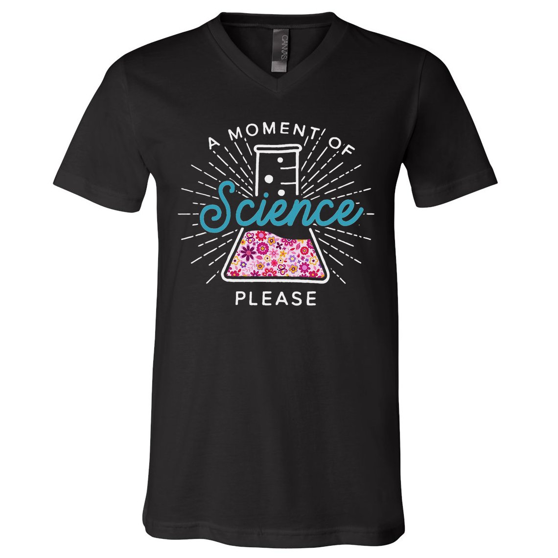A Moment Of Science Please Scientist Science Teacher Gift V-Neck T-Shirt