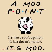 A Moo Point Its Like A Cows Opinion Bag