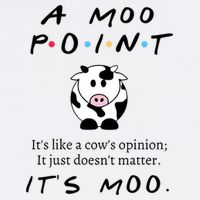 A Moo Point Its Like A Cows Opinion Flat Bill Trucker Hat