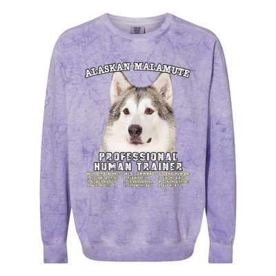 Alaskan Malamute Professional Human Trainer Cute Dog Colorblast Crewneck Sweatshirt