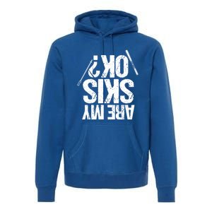 Are My Ski Ok? Skiing Snow Mountain Winter Gift Premium Hoodie