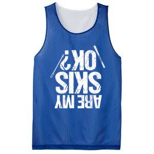 Are My Ski Ok? Skiing Snow Mountain Winter Gift Mesh Reversible Basketball Jersey Tank