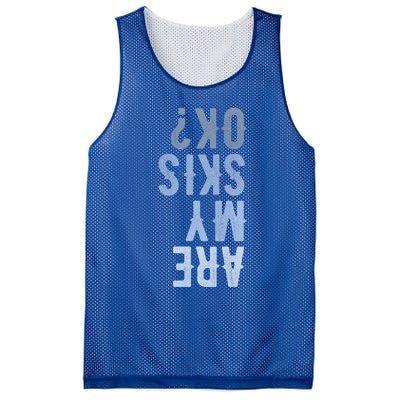 Are My Skis Ok Activity Sport Skiing Travel Meaningful Gift Mesh Reversible Basketball Jersey Tank