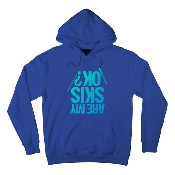 Are My Ski Ok? Skiing Snow Mountain Winter Gift Hoodie