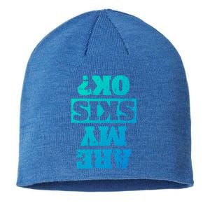 Are My Skis Ok? Funny Downhill Skiing Winter Gift Sustainable Beanie