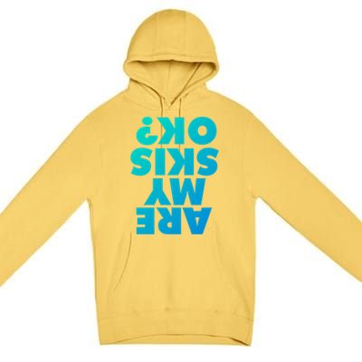 Are My Skis Ok? Gift Premium Pullover Hoodie