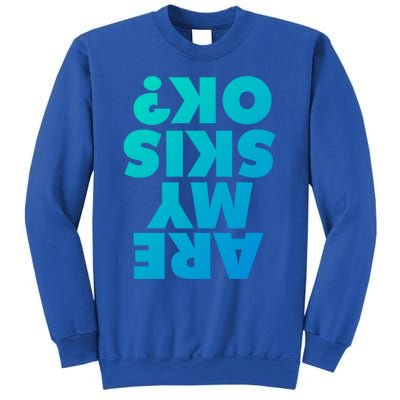 Are My Skis Ok? Gift Sweatshirt