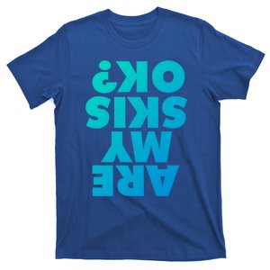 Are My Skis Ok? Gift T-Shirt