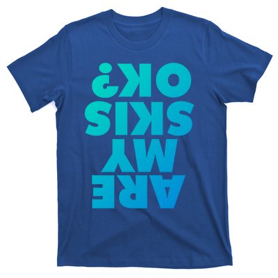 Are My Skis Ok? Gift T-Shirt