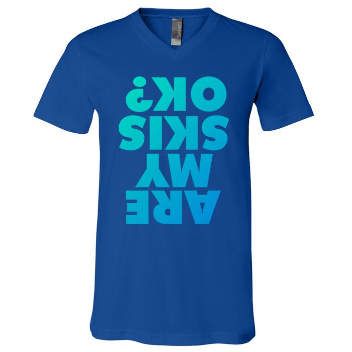 Are My Skis Ok? Gift V-Neck T-Shirt