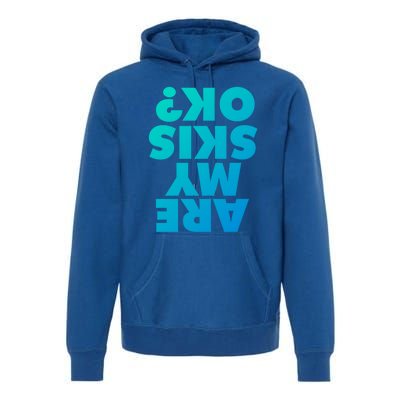 Are My Skis Ok? Gift Premium Hoodie