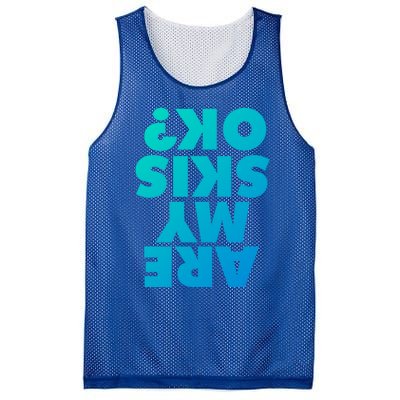 Are My Skis Ok? Gift Mesh Reversible Basketball Jersey Tank