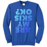 Are My Skis Ok? Gift Sweatshirt