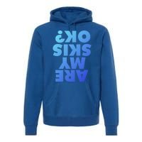 Are My Skis Ok? Gift Premium Hoodie