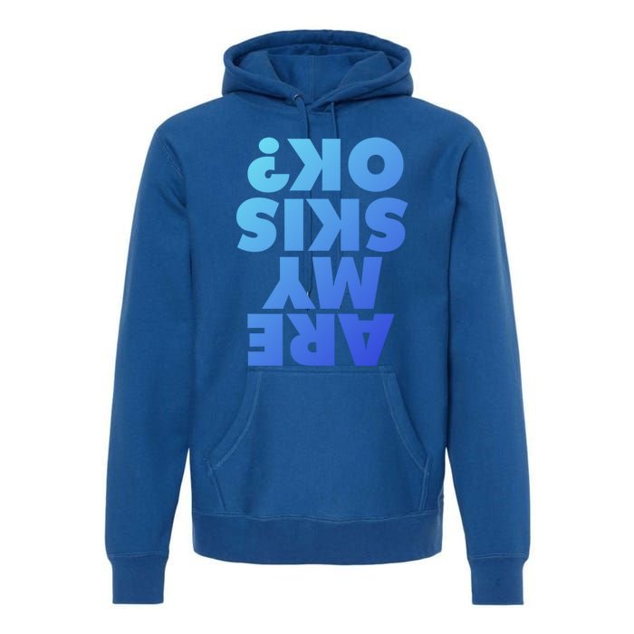 Are My Skis Ok? Gift Premium Hoodie