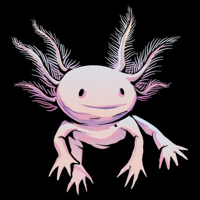 Axolotl Mexican Salamander Drawing Lizard Realistic Axolotl  T-Shirt