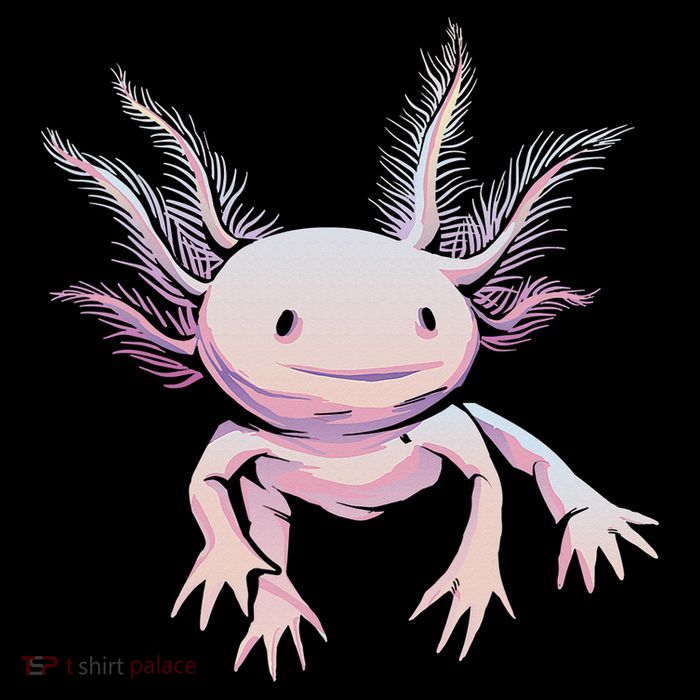 Axolotl Mexican Salamander Drawing Lizard Realistic Axolotl  T-Shirt
