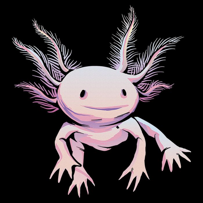 Axolotl Mexican Salamander Drawing Lizard Realistic Axolotl  Drawstring Bag