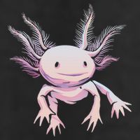 Axolotl Mexican Salamander Drawing Lizard Realistic Axolotl  Tumbler