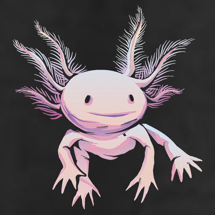 Axolotl Mexican Salamander Drawing Lizard Realistic Axolotl  Tumbler
