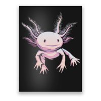 Axolotl Mexican Salamander Drawing Lizard Realistic Axolotl  Poster