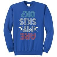 Are My Skis Ok Skiing Lover Ice Ski Winter Sport Gift Sweatshirt