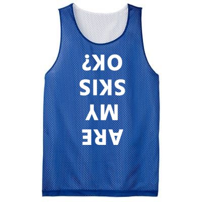 Are My Skis Okay Winter Funny Skiing Gift Mesh Reversible Basketball Jersey Tank