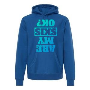 Are My Skis Ok? Funny Downhill Skiing Winter Funny Gift Premium Hoodie