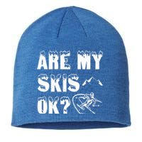 Are My Skis Ok? Funny Skiing Funny Gift Cute Gift Sustainable Beanie