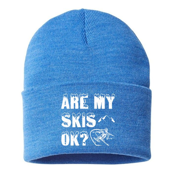 Are My Skis Ok? Funny Skiing Funny Gift Cute Gift Sustainable Knit Beanie