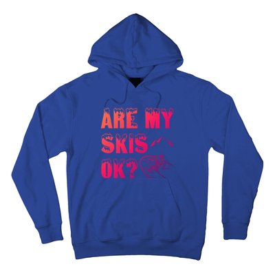 Are My Skis Ok? Funny Skiing Funny Gift Funny Gift Hoodie