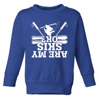 Are My Skis Ok? Funny Skiing Winter Sports Novelty For Skier Gift Toddler Sweatshirt