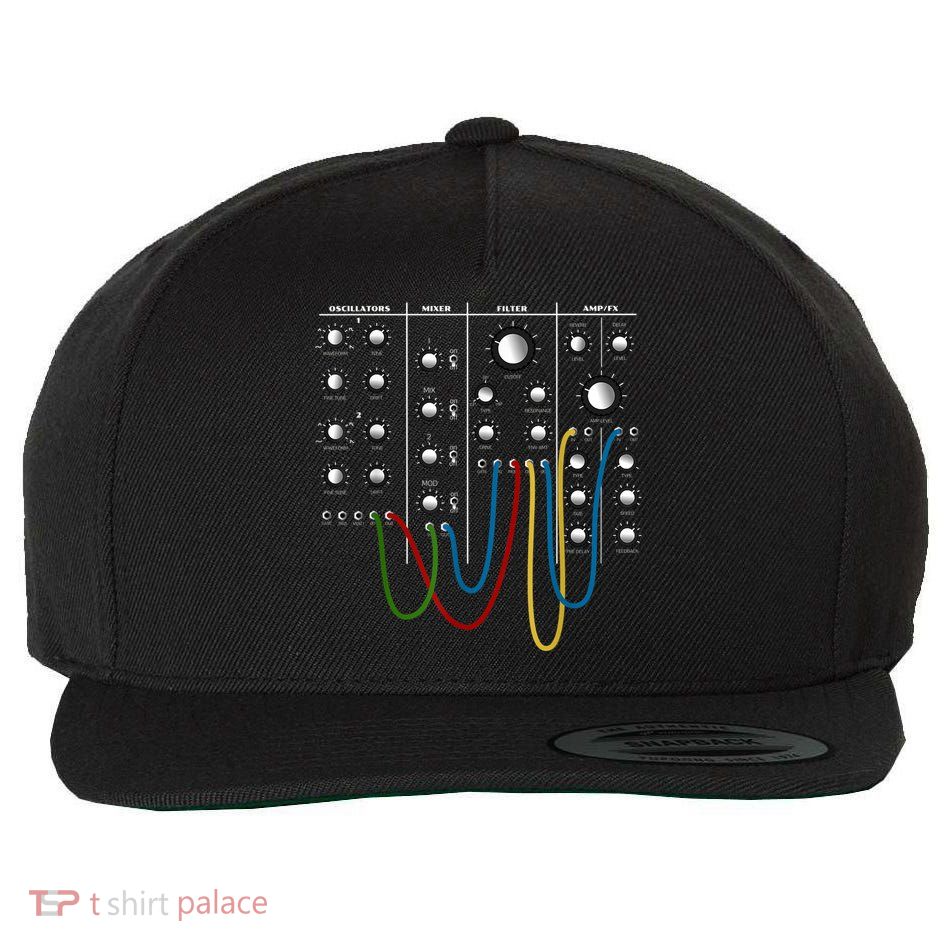Analog Modular Synthesizer Panel Electronic Musician Wool Snapback Cap
