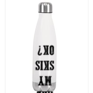 Are My Skis Ok? Gift Stainless Steel Insulated Water Bottle