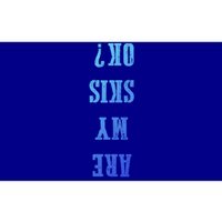 Are My Skis Ok? Gift Bumper Sticker