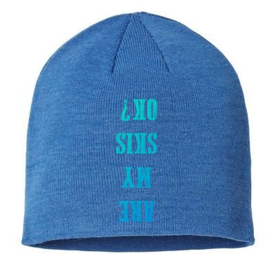 Are My Skis Ok? Gift Sustainable Beanie