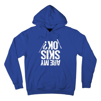 Are My Ski Ok? Skiing Snow Mountain Winter Gift Hoodie