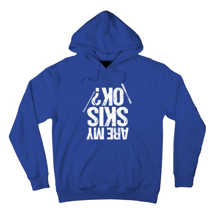 Are My Ski Ok? Skiing Snow Mountain Winter Gift Hoodie